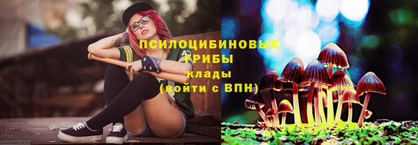 дживик Абинск