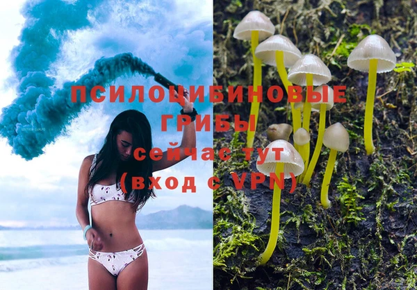 PSILOCYBIN Абаза