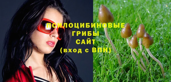 PSILOCYBIN Абаза