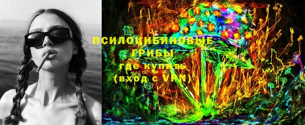 PSILOCYBIN Абаза