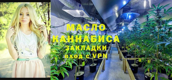 дживик Абинск