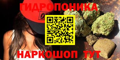 МДПВ Волжск