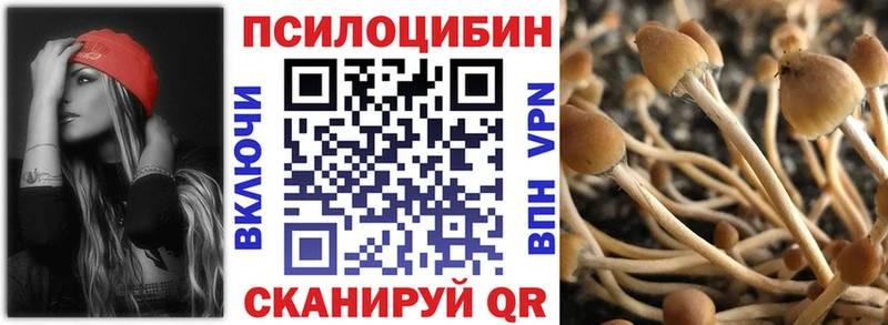 Псилоцибиновые грибы Magic Shrooms  Ипатово 
