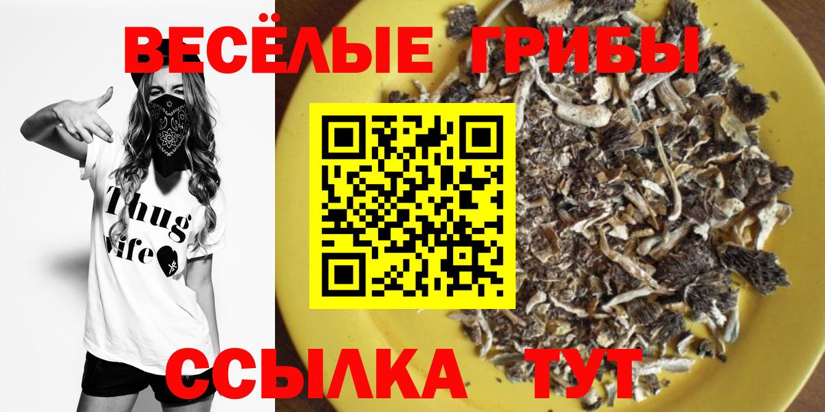 Ипатово  Псилоцибиновые грибы GOLDEN TEACHER  Вход с VPN  Галлюциногенные грибы Psilocybe 