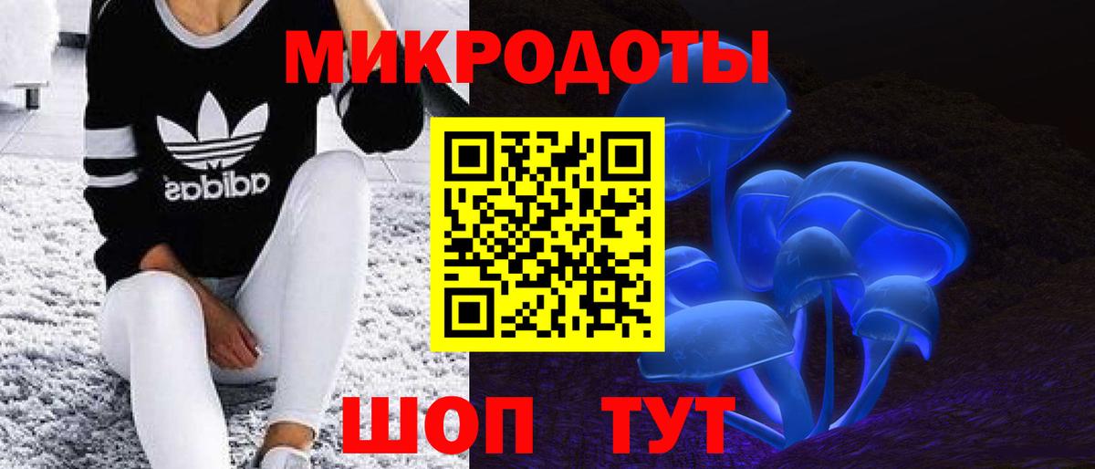 Галлюциногенные грибы Psilocybe Ипатово